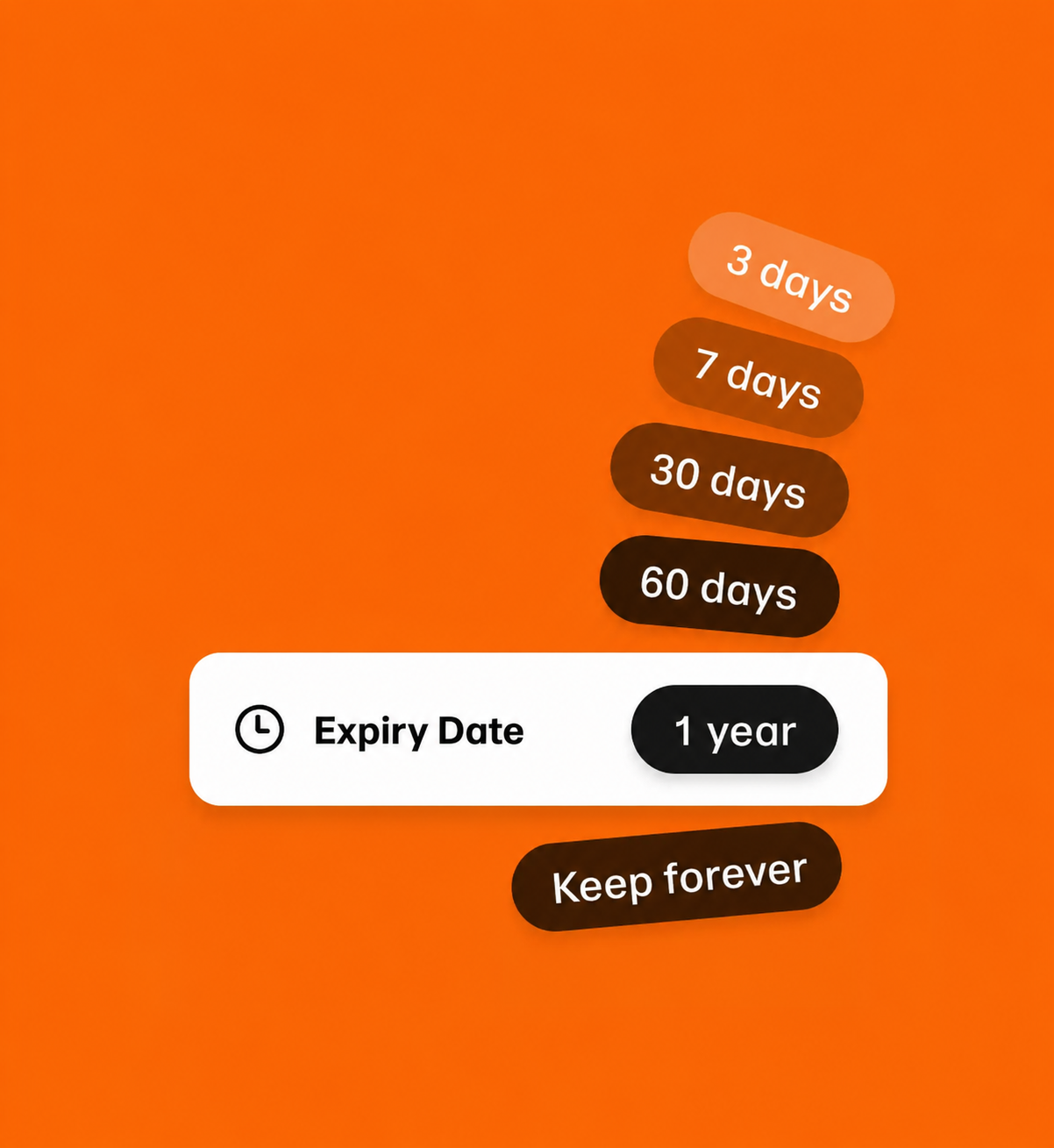 Illustration rétention et date d’expiration Transfereko PRO